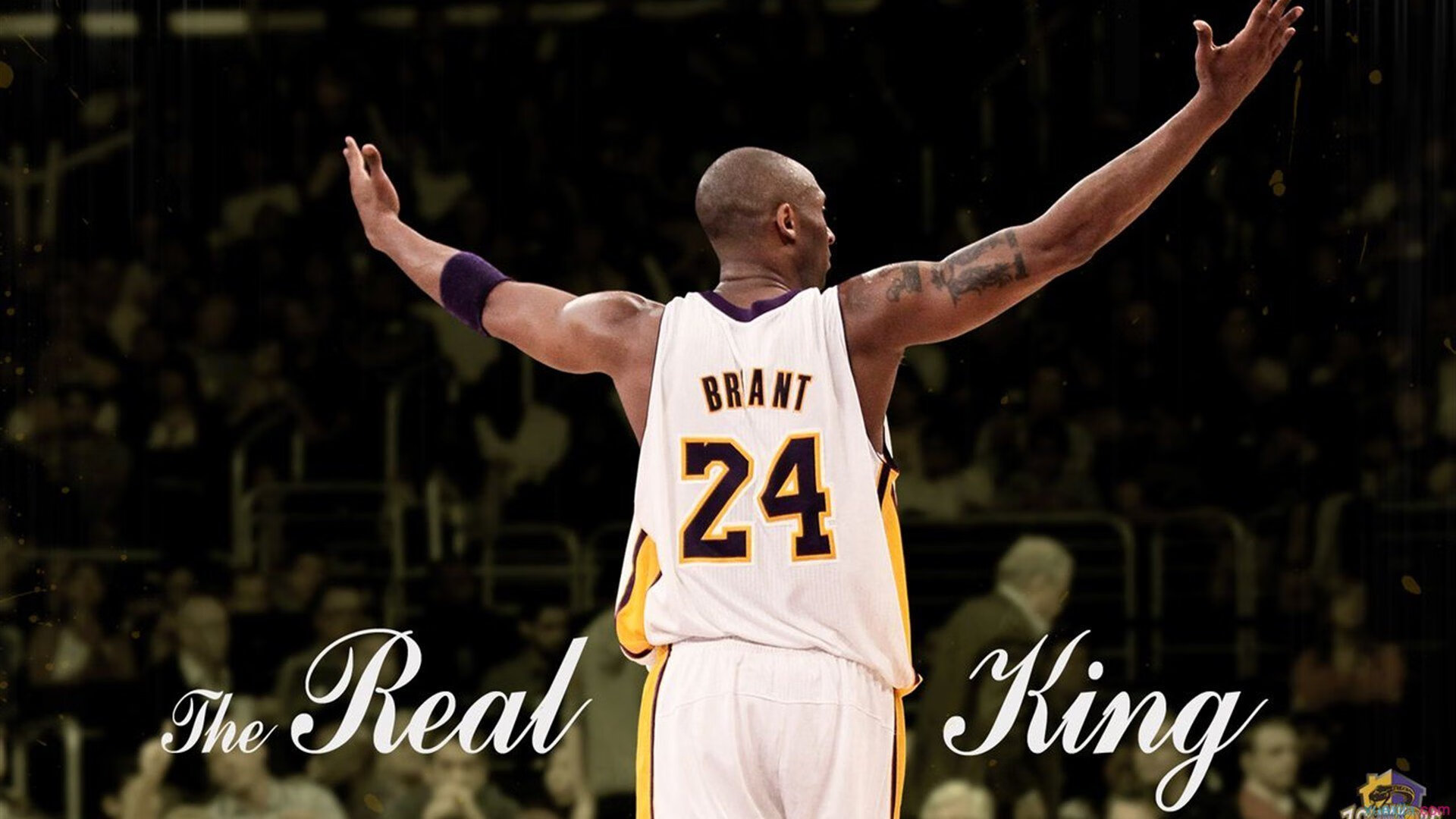 开云体育APP-_魔术在主场爆发，逆转取胜_，魔术出场动作