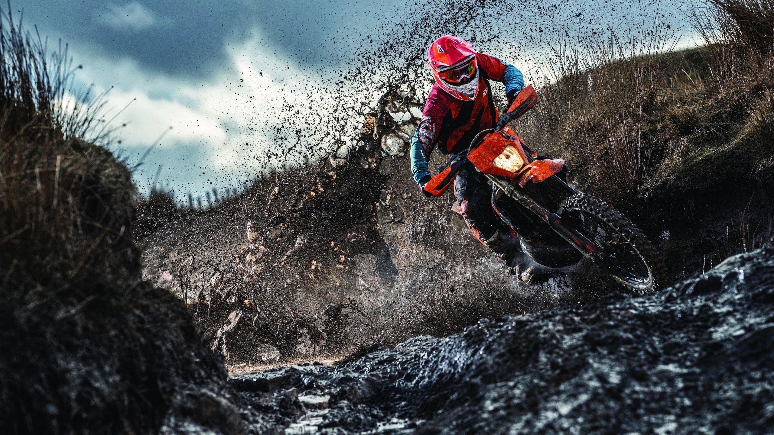 开云平台-“英超逆境反击，夺冠希望依旧存续”，英超逆袭夺冠